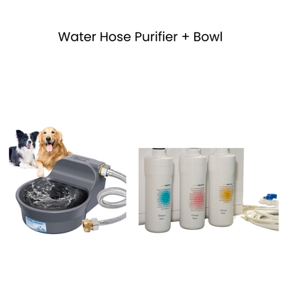 Dog Water Purifier + Install