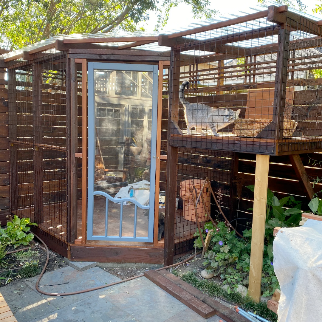 Catio Gold Tier