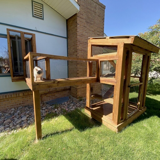 Catio Silver Tier