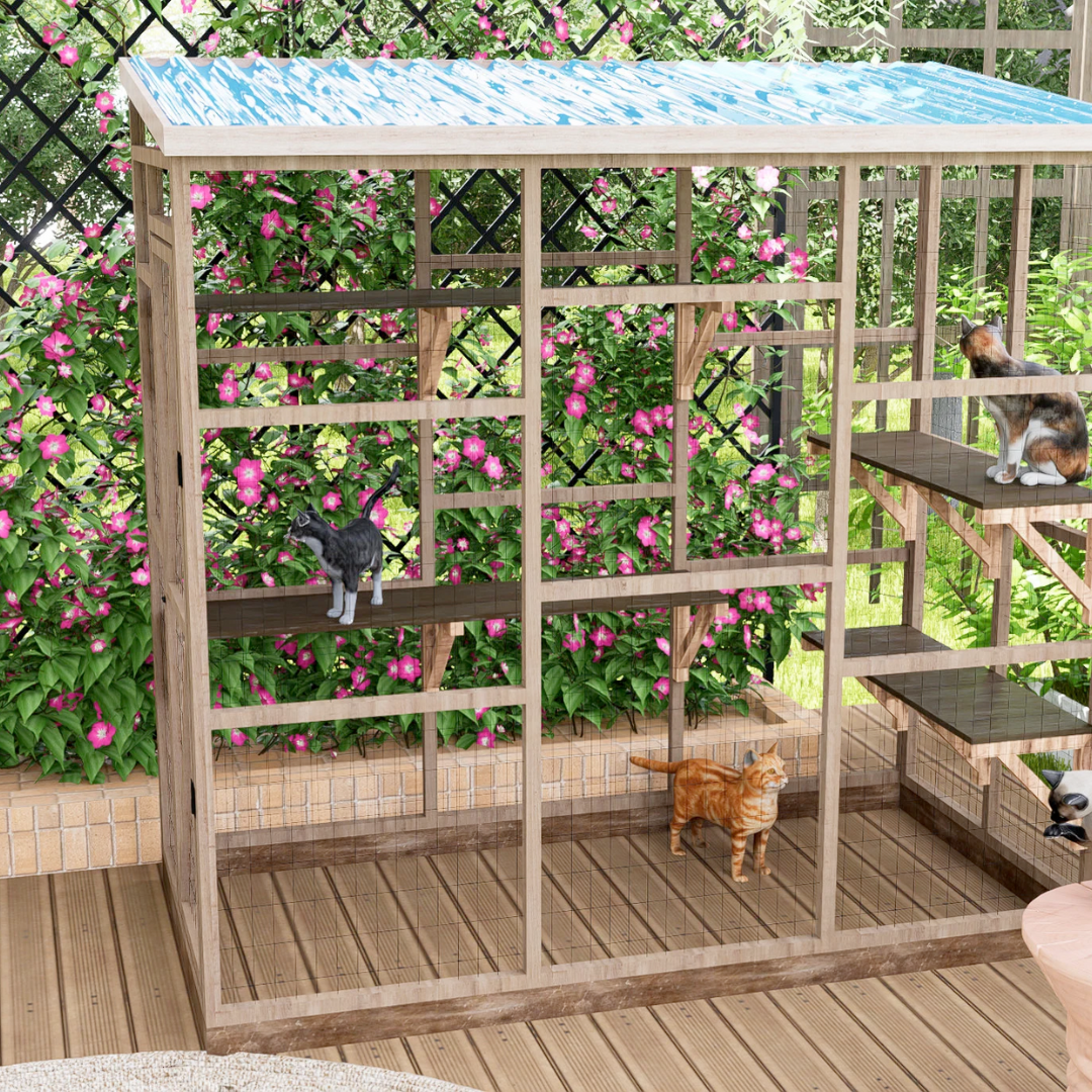 Catio Bronze Tier