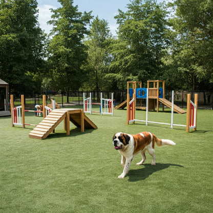 Dog Playgrounds