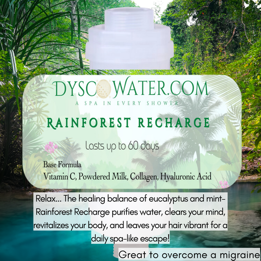 Rainforest Recharge